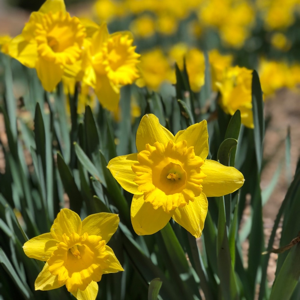 Meet your Posher, Kiara